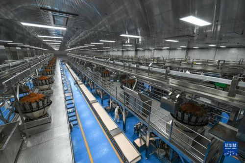 中国首次进口肯尼亚野生鳀鱼产品亮相中非经贸博览会